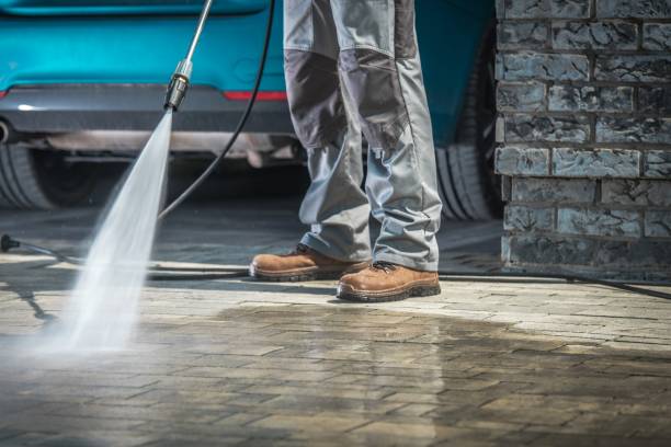 Best Animal Enclosure Cleaning  in Hollister, CA